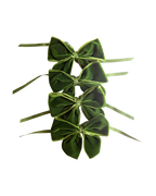 Yeşil Kurdele Peçete Halkası (4'lü)